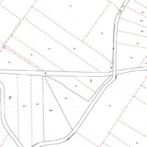 Cadastral records before restoration